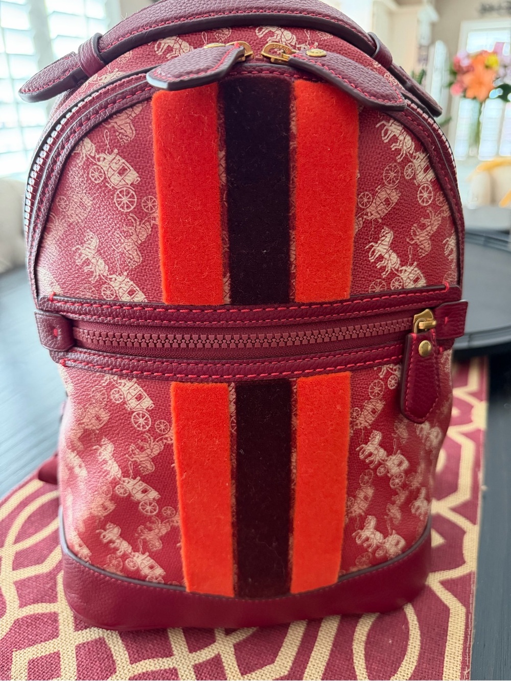 Adorable Coach Backpack